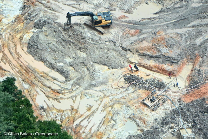 GP1SWLPS_Low res with credit line (800px)