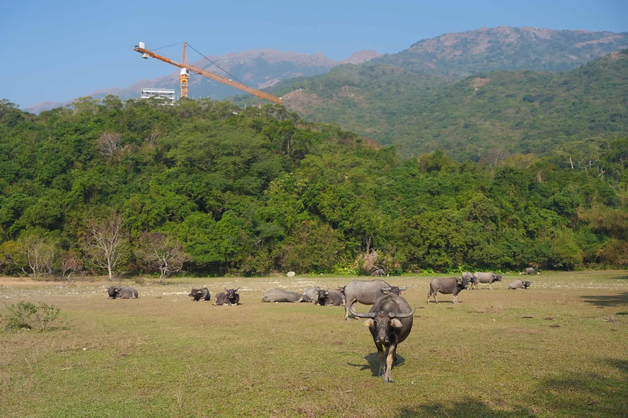 Biodiversity_petition_kv
