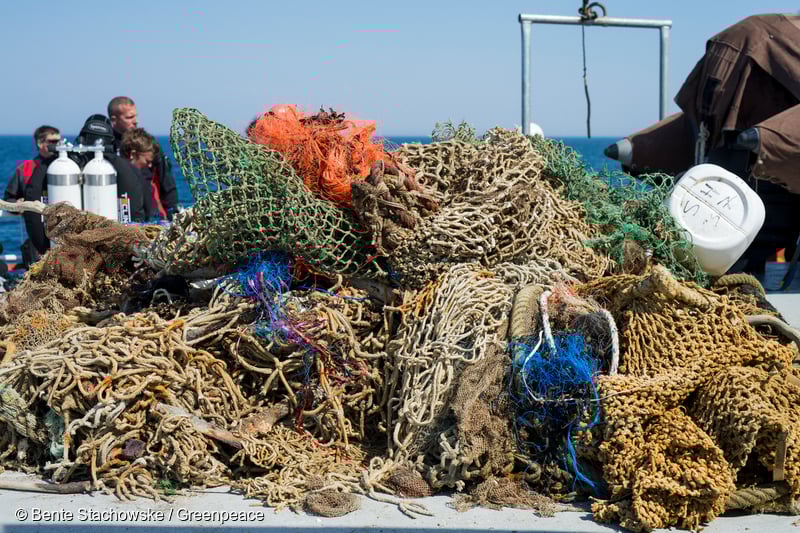 GP0STPTZI_Low res with credit line (800px)