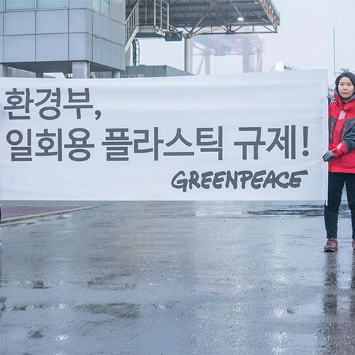 환경부 일회용 플라스틱 규제 요청 액션
