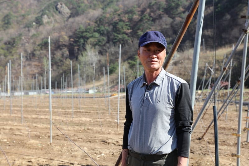 산불로 20년 과수원을 잃은 경북 영덕군 이장 김광현 님
