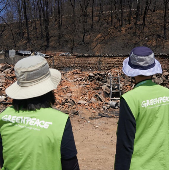 그린피스 재난 복구 현장