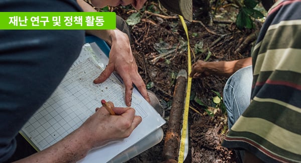 재난 연구 및 정책 활동