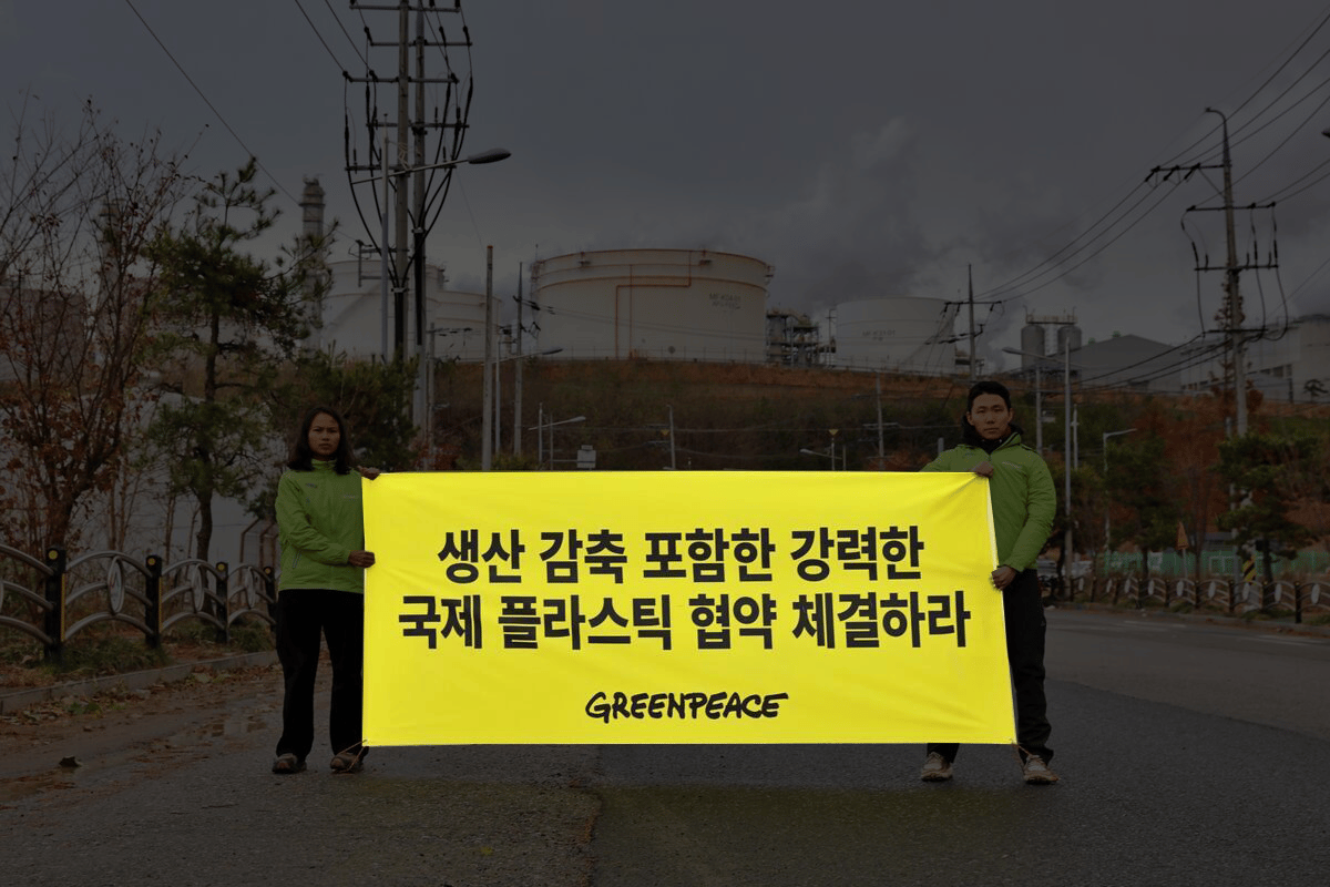 2024년 플라스틱