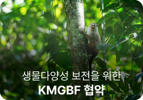 SEOUL-global-treaty-card-biodiversity
