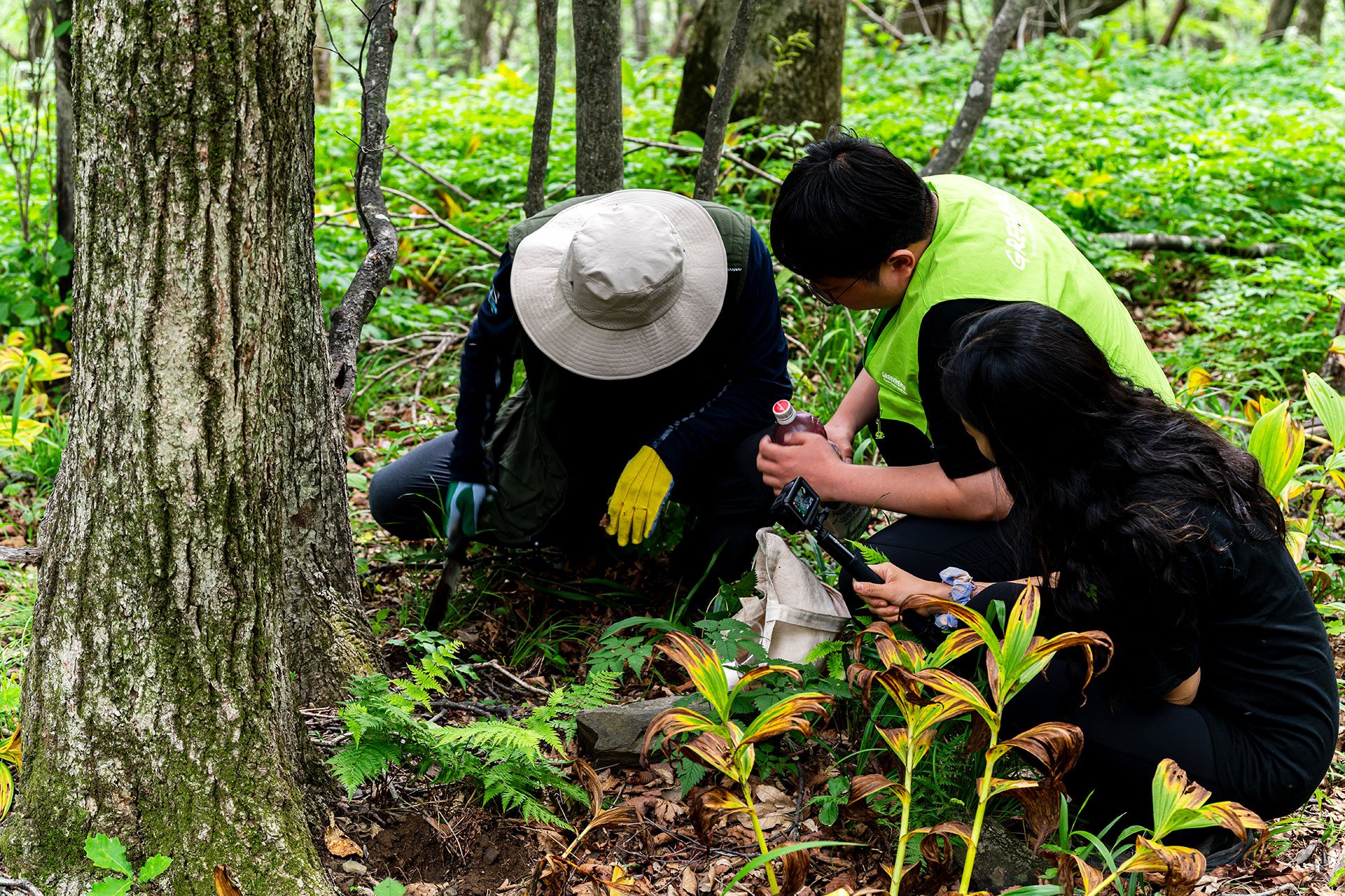 BIO-SEO-FOREST-RESEARCH-DSC_0003