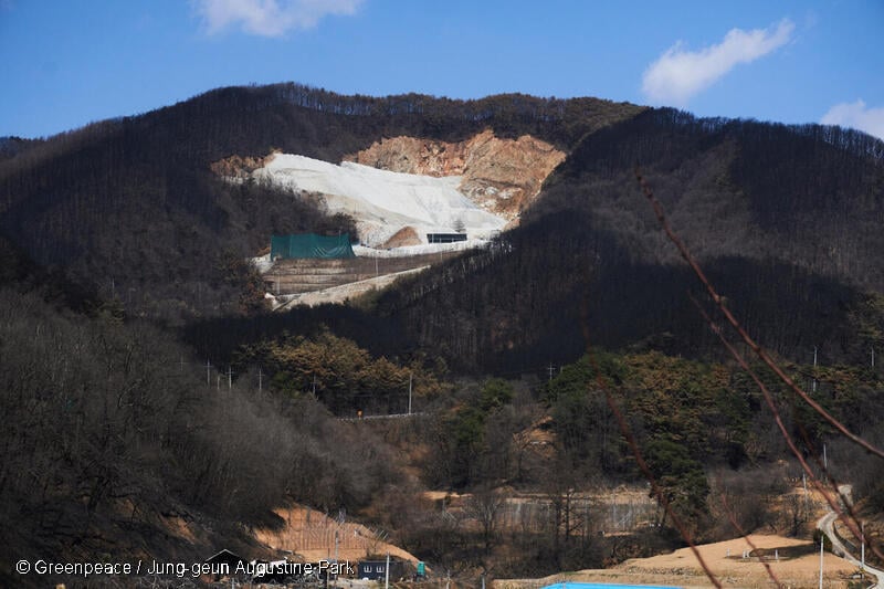 GP0SU53ZJ_Low res with credit line (800px)