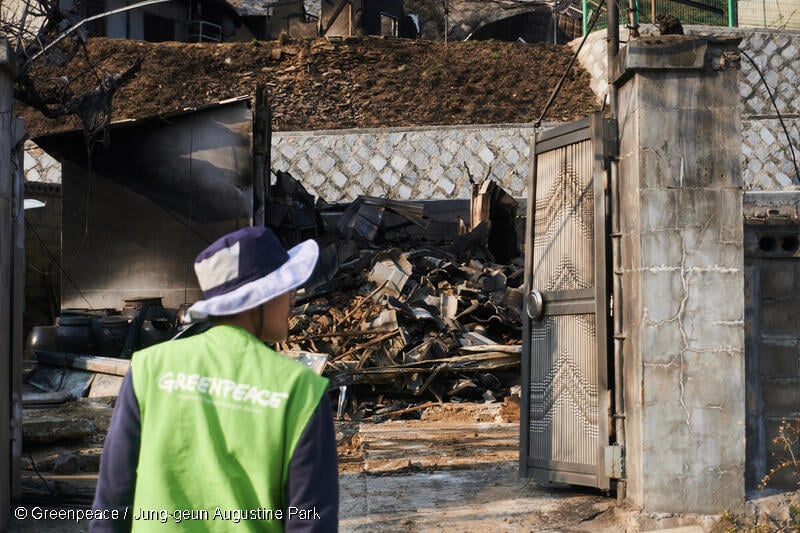 Rapid Response in Wildfire-Affected Area in Cheongsong, Korea