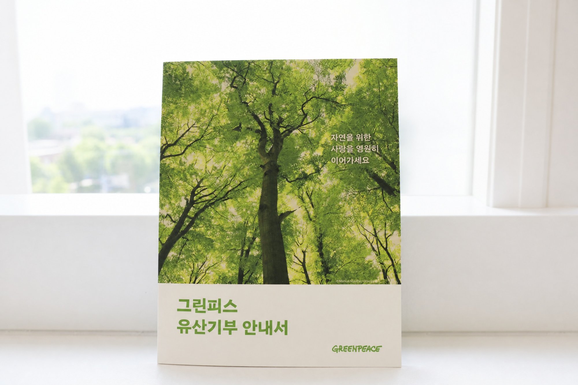edited_white_background_no_leaves