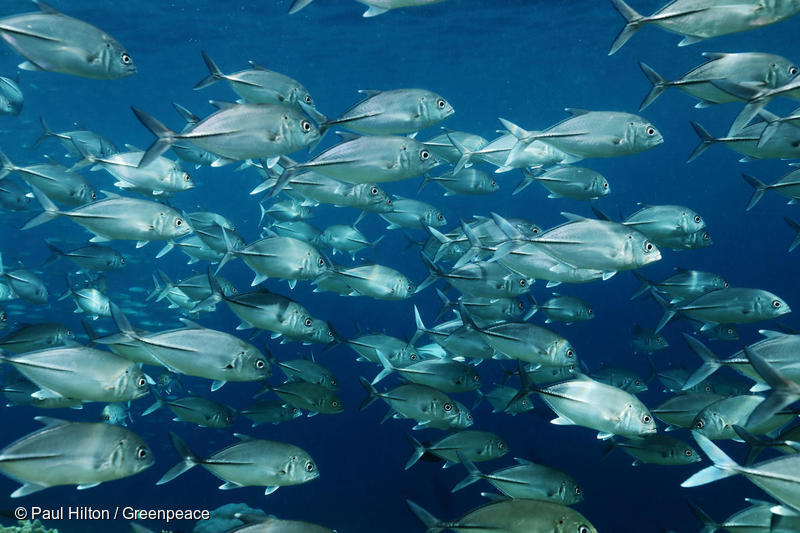 GP0STUNHH_Low res with credit line (800px)