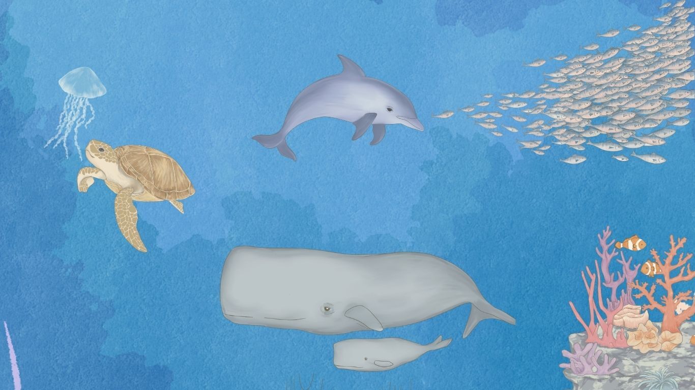 seoul-ocean-illust-event